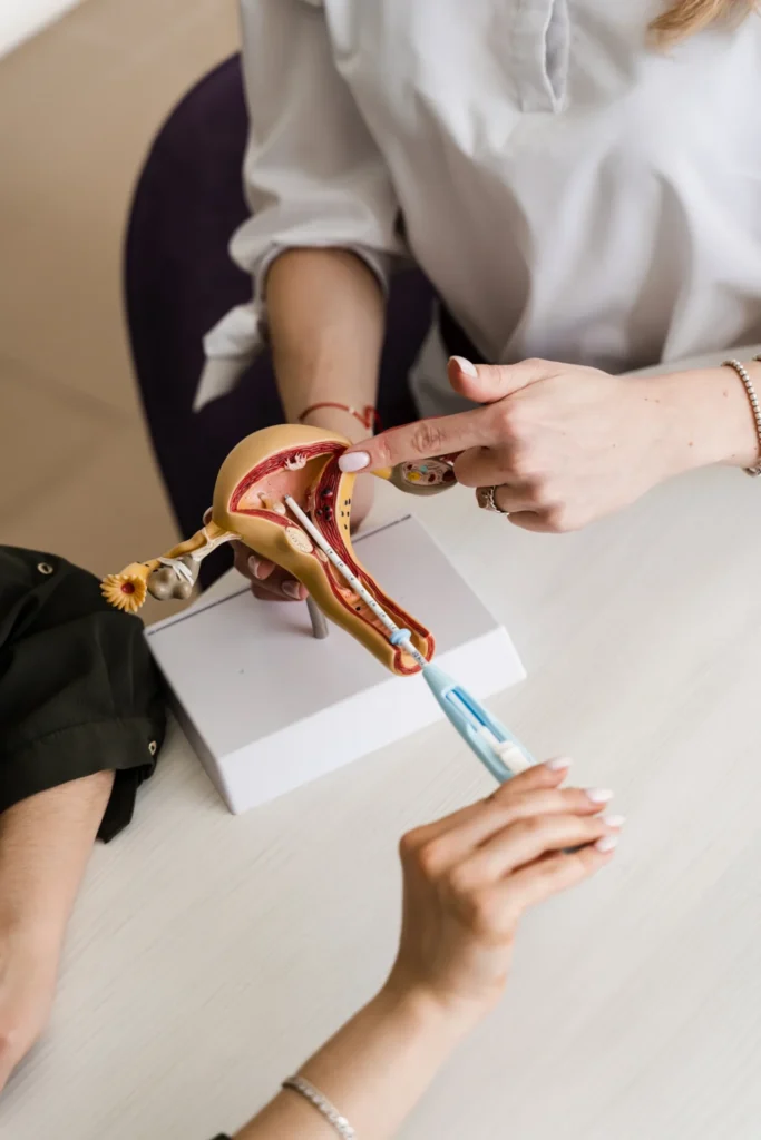 uterus model close up showing iud insertion as con 2026 04 04 23 57 57 utc